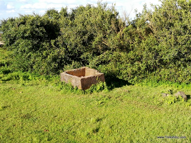 Water tank in bushes at Rajhansgad (Yellur Fort)